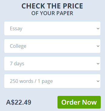 essay writer price